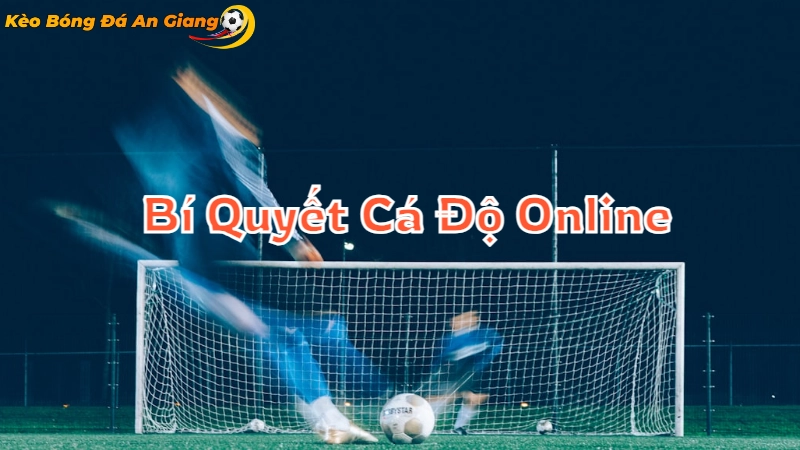 Bí Quyết Cá Độ Online Tại Trang Kèo Bóng Đá An Giang