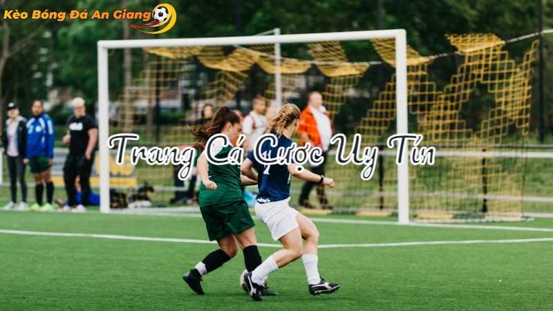 Cách Chọn Trang Cá Cược Uy Tín Tại An Giang