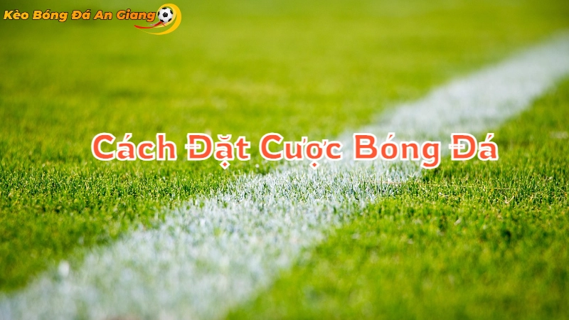 Cách Đặt Cược Bóng Đá An Giang Cho Người Mới 2024