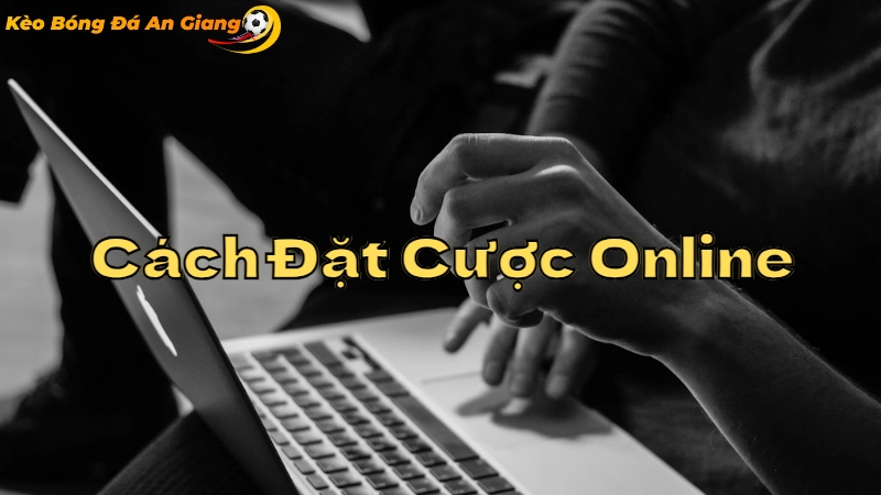 Cách Đặt Cược Online Tại An Giang Cho Người Mới 2024