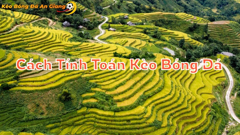 Cách Tính Toán Kèo Bóng Đá Tại An Giang