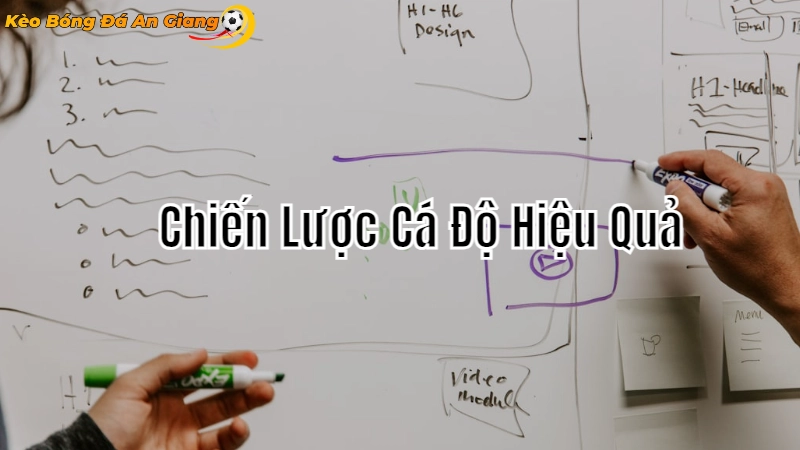 Chiến Lược Cá Độ Hiệu Quả Cho Người Mới 2024