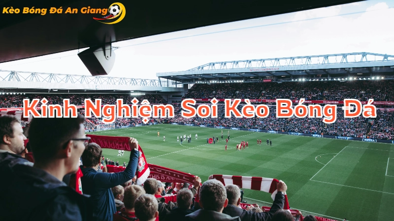 Kinh Nghiệm Soi Kèo Bóng Đá Tại An Giang 2024