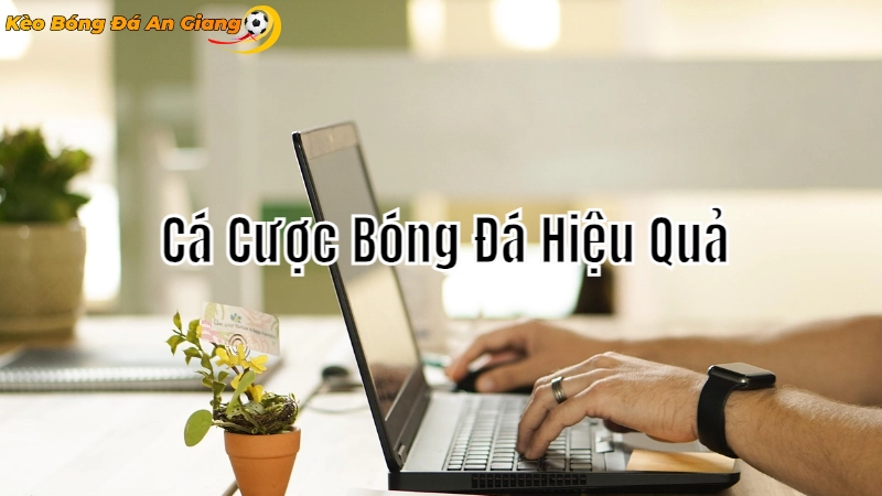 Mẹo Cá Cược Bóng Đá Online Hiệu Quả Tại An Giang 2024