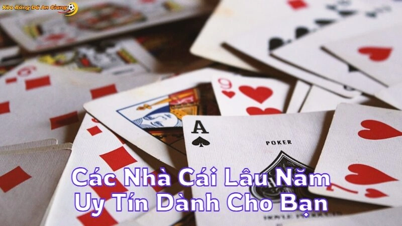 Các Nhà Cái Lâu Năm Uy Tín Dành Cho Bạn