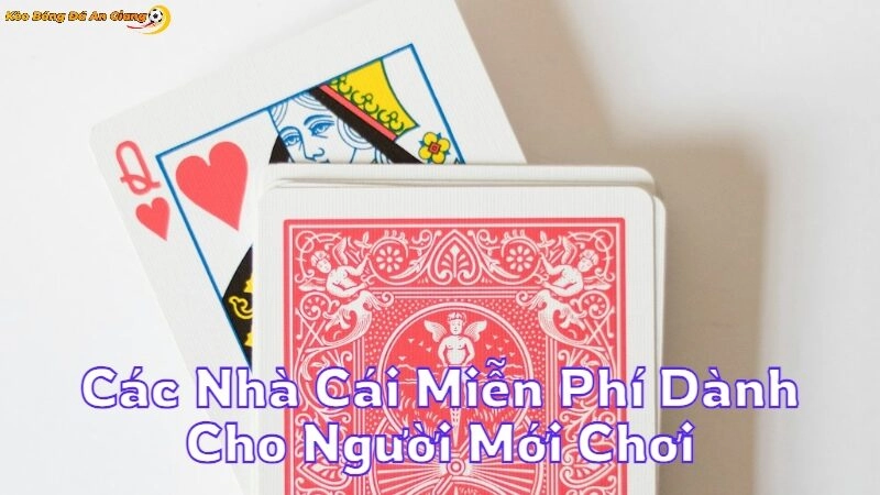 Các Nhà Cái Miễn Phí Dành Cho Người Mới Chơi