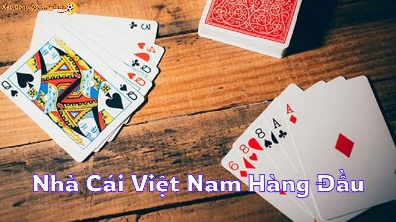 Tìm Hiểu Các Nhà Cái Việt Nam Hàng Đầu